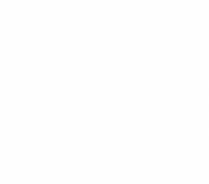 sf d logo